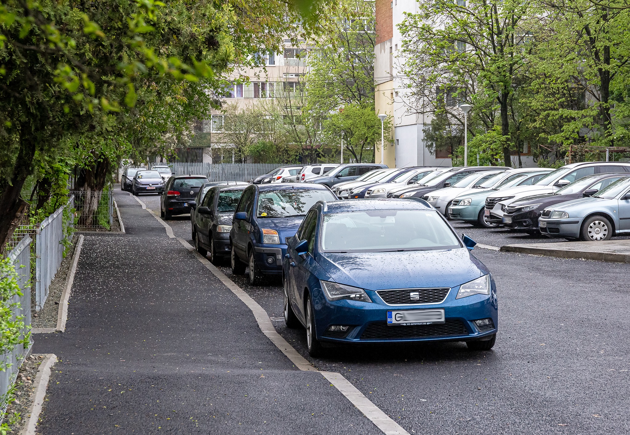 Termen-limită pentru Rabla local