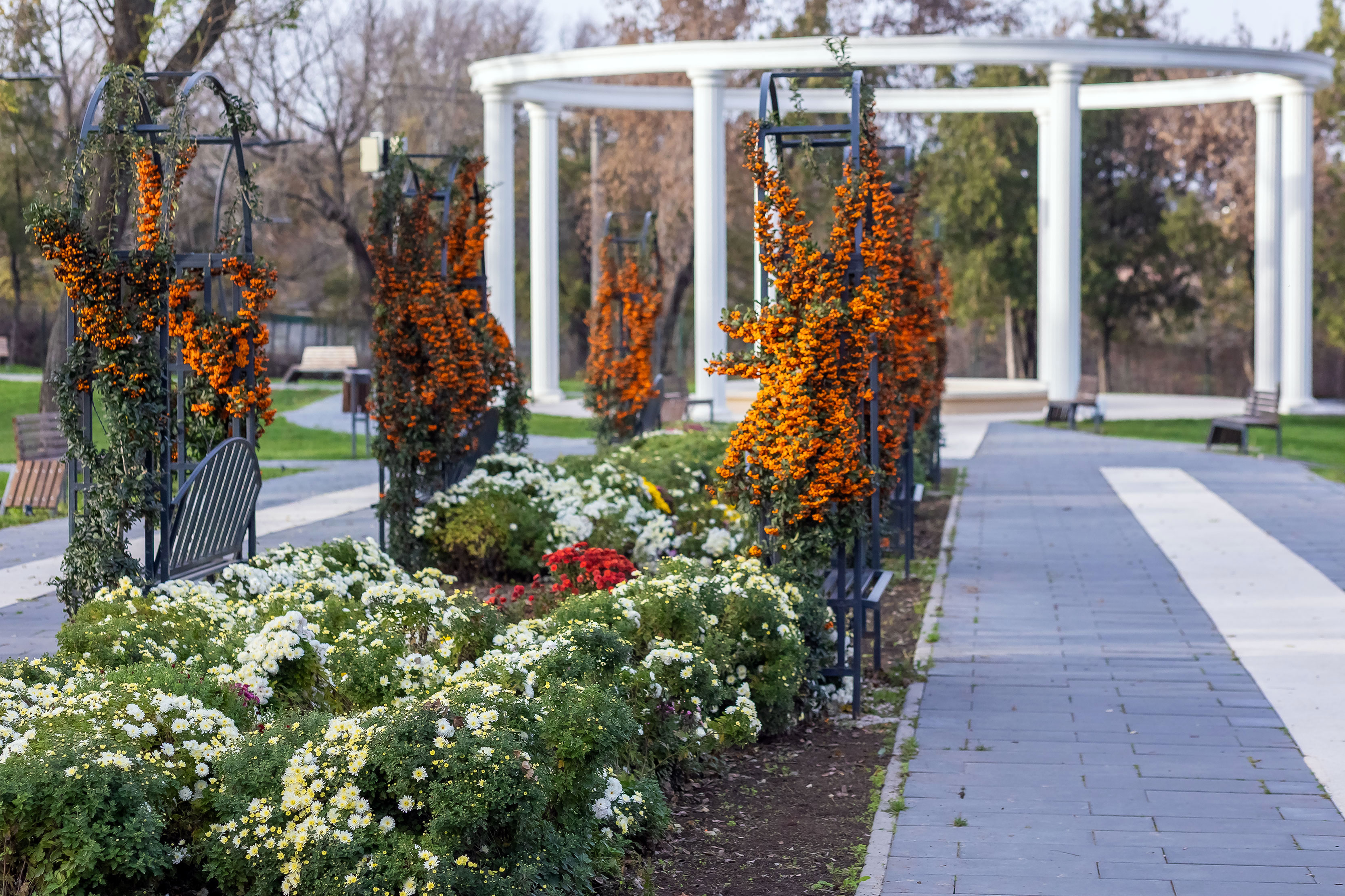 Evenimente de weekend la Galați