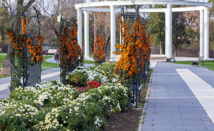 Evenimente de weekend la Galați