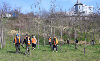 Ora Pământului, la Galați