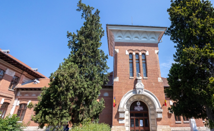 Colegiul Național „Costache Negri” va fi reabilitat